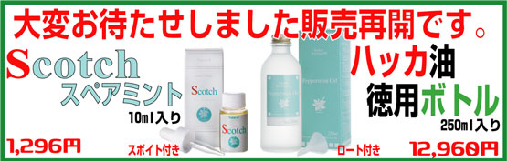 業務用スペアM再開